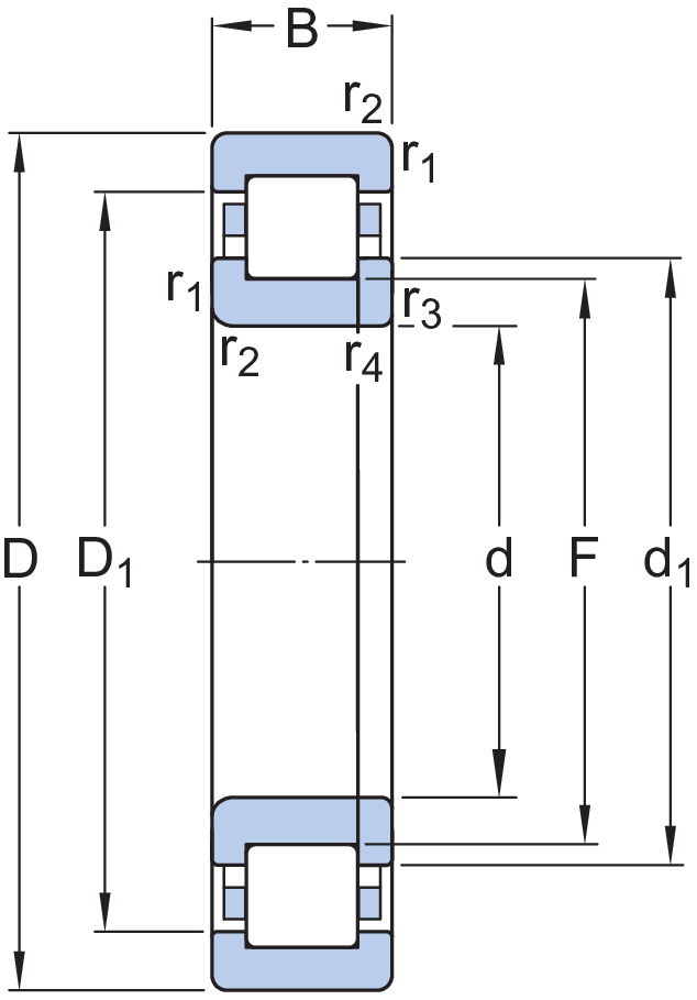 Dimensioni